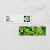 Carte De Visite Mini La conception florale de Stacey (Devant / Derrière)