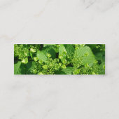 Carte De Visite Mini La conception florale de Stacey (Dos)