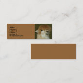 Carte De Visite Mini Lama drôle (Devant / Derrière)