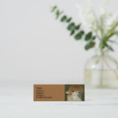 Carte De Visite Mini Lama drôle (Debout devant)