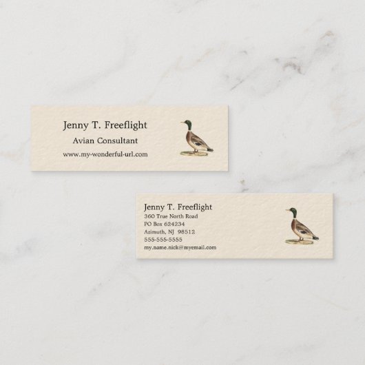 Carte De Visite Mini Le canard colvert ou sauvage (Anas platyrhynchos) (Devant / Derrière)