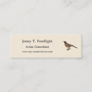 Carte De Visite Mini Le Robin américain (Turdus migratorius) NY Birds