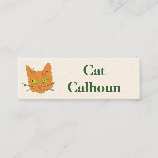 Carte De Visite Mini Les favoris du chat (Devant)