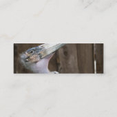 Carte De Visite Mini Marabou (Dos)