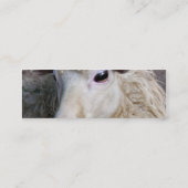 Carte De Visite Mini Mouton drôle (Dos)