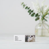 Carte De Visite Mini Mouton drôle (Debout devant)
