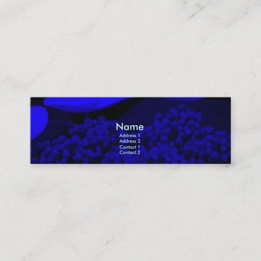 Carte De Visite Mini Nuit bleue H (Devant)