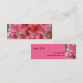 Carte De Visite Mini NYBG : No. 116 (Devant / Derrière)