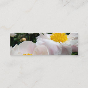 Carte De Visite Mini NYBG : No. 371 [maigre]