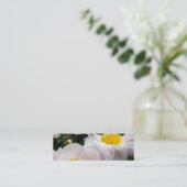 Carte De Visite Mini NYBG : No. 371 [maigre] (Debout devant)