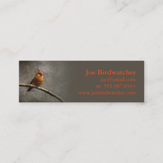 Carte De Visite Mini Objectif Birdwatcher (Devant)