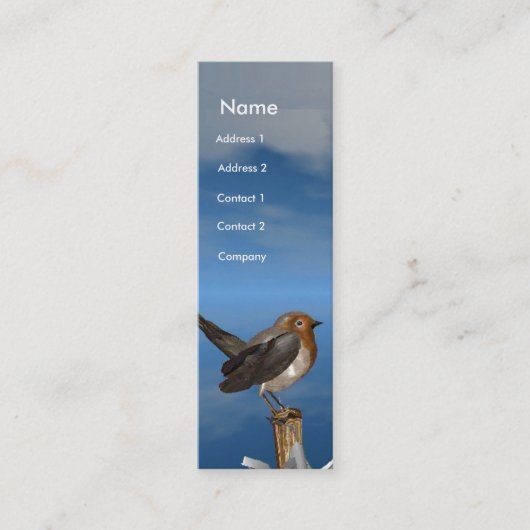 CARTE DE VISITE MINI OISEAUX HYPER / MONOGRAMME ROBINE ROUGE (Devant)