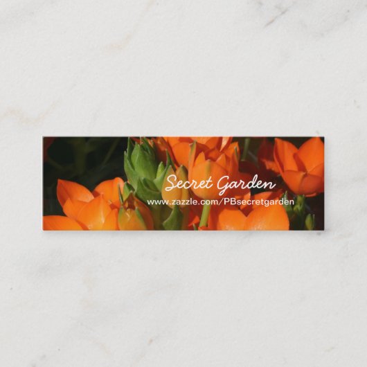 Carte De Visite Mini Orange Spring 1 -Photographie florale (Devant)