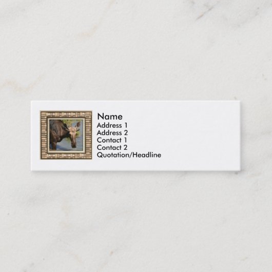 Carte De Visite Mini Orignaux (Devant)