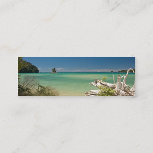 Carte De Visite Mini Parc national d'Abel Tasman (Devant)