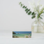 Carte De Visite Mini Parc national d'Abel Tasman (Debout devant)