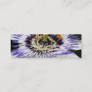 Carte De Visite Mini Passiflora 3 Floral Photographie
