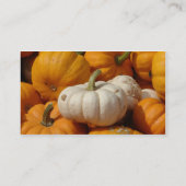 Carte De Visite Mini Patch de Citrouilles, Nous Cultivons Toutes S (Dos)