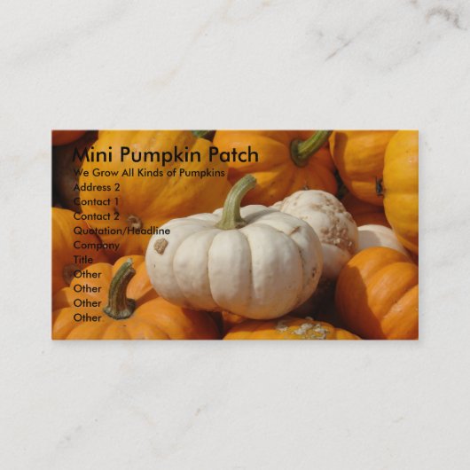 Carte De Visite Mini Patch de Citrouilles, Nous Cultivons Toutes S (Devant)