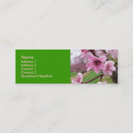 Carte De Visite Mini peach_blossoms1 (Devant)