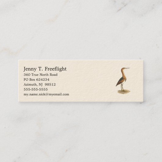 Carte De Visite Mini Petit Bittern (Ixobrychus exilis) Oiseaux de New Y (Dos)