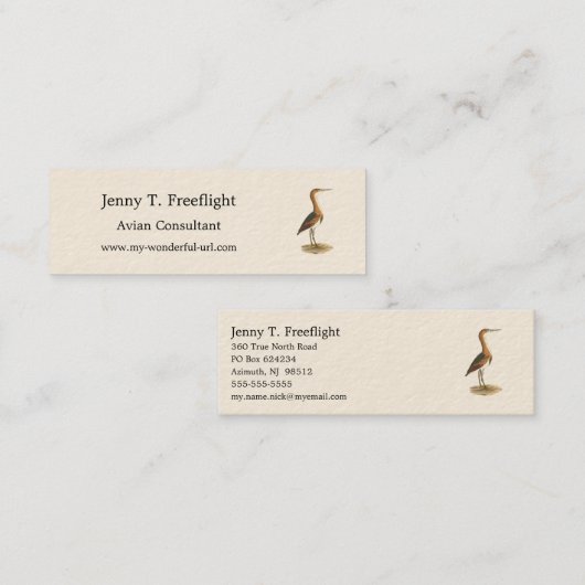 Carte De Visite Mini Petit Bittern (Ixobrychus exilis) Oiseaux de New Y (Devant / Derrière)