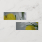 Carte De Visite Mini Poppies et ombres 4 (Devant / Derrière)