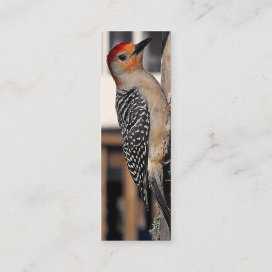 Carte De Visite Mini Portrait de pic (Dos)