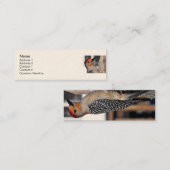 Carte De Visite Mini Portrait de pic (Devant / Derrière)