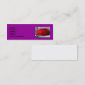 Carte De Visite Mini Red Hat (Devant / Derrière)