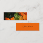 Carte De Visite Mini Ressort orange 2 (Devant / Derrière)