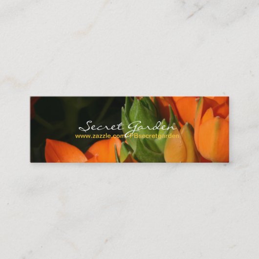 Carte De Visite Mini Ressort orange 2 (Devant)