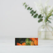 Carte De Visite Mini Ressort orange 2 (Debout devant)