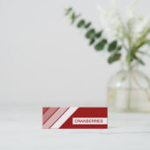 Carte De Visite Mini rétro CANNEBERGES (Debout devant)