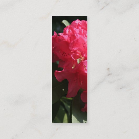 Carte De Visite Mini Rhododendron rose (3) (Dos)