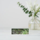 Carte De Visite Mini ruisseau 2 de forêt (Debout devant)