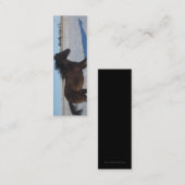 Carte De Visite Mini SIGNET - cheval (Devant / Derrière)