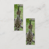 Carte De Visite Mini Signet prolongé de girafe de langue (Devant / Derrière)