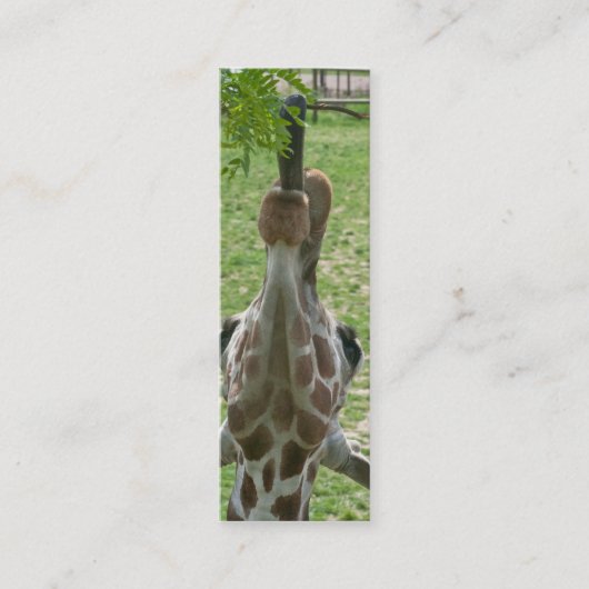 Carte De Visite Mini Signet prolongé de girafe de langue (Devant)