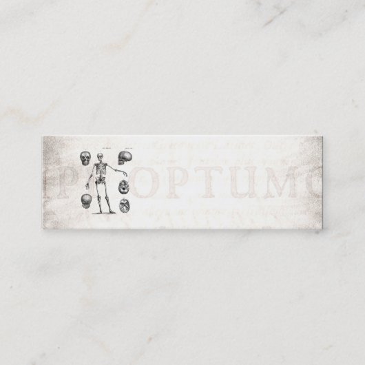 Carte De Visite Mini Squelettes antiques squelettiques d'anatomie de (Devant)