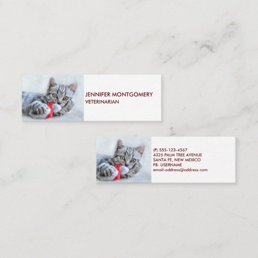 Carte De Visite Mini Tabby gris mou Chat avec Noël Casquette (Devant / Derrière)