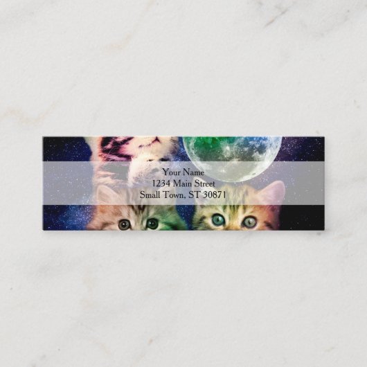 Carte De Visite Mini Three cats and the moon (Devant)
