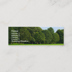 Carte De Visite Mini Un après-midi calme au parc