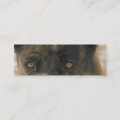 Carte De Visite Mini Yeux de chien (Dos)