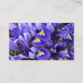 Carte De Visite Miniature Bleu Irises Printemps Floral (Dos)