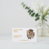 Carte de visite miniature de chien de Pomeranian (Debout devant)