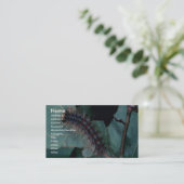 Carte De Visite Mite gitane (Debout devant)