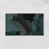 Carte De Visite Mite gitane (Dos)