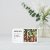 CARTE DE VISITE MODÈLE BASIC, Taqueria (Debout devant)