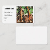 CARTE DE VISITE MODÈLE DE BASE ,Taqueria (Devant / Derrière)